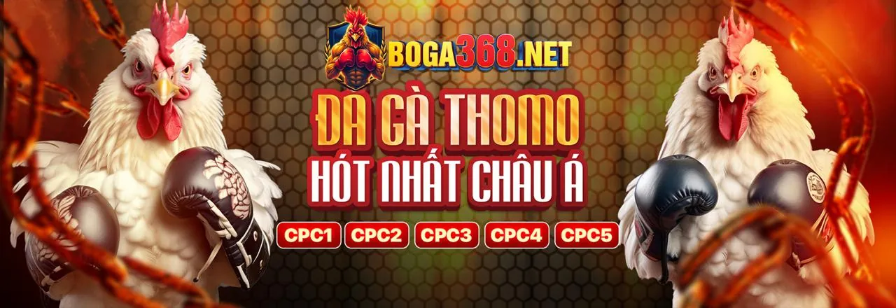 Đấu trường đá gà kịch tính tại 99win33 nhà cái