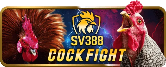 Hướng dẫn từng bước đặt cược thể thao trên 99win33 nhà cái